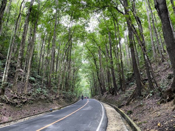 Bohol Philippines