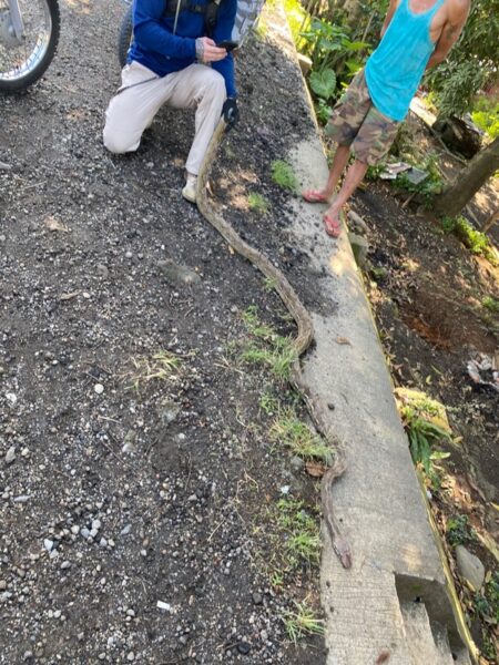 Bohol Wildlife