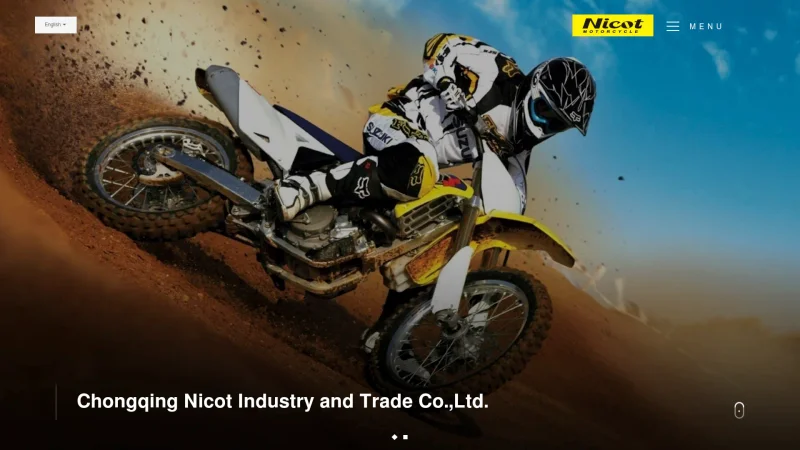 CHONGQING NICOT IMPORT & EXPORT TRADE CO., LTD website screenshot
