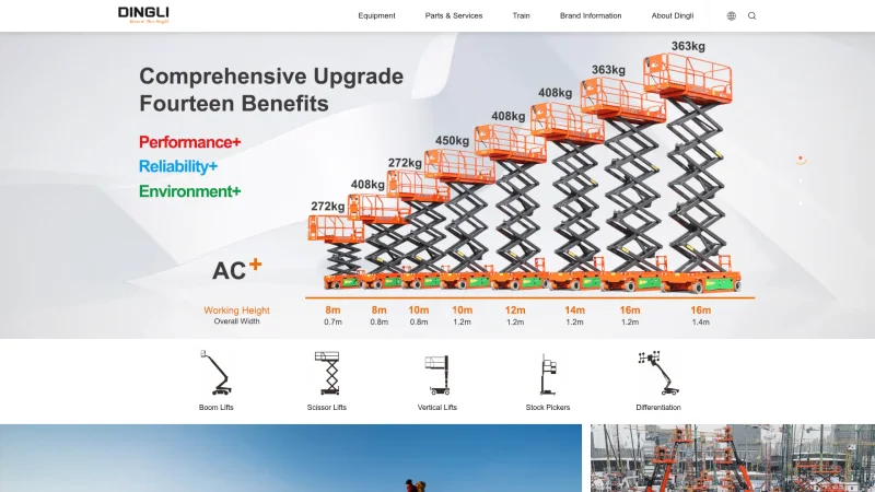 ZHEJIANG DINGLI INDUSTRY CO.,LTD. website screenshot