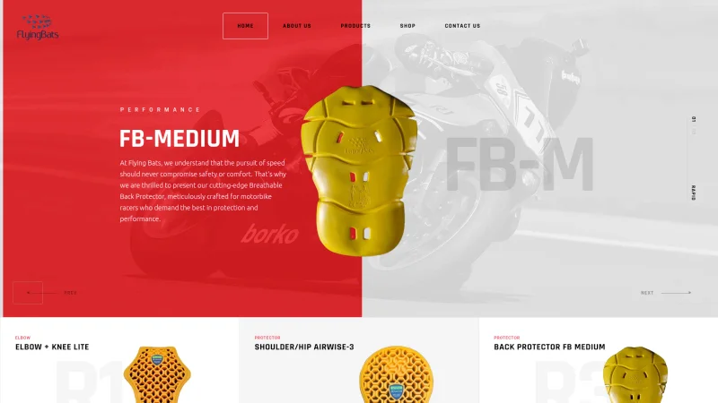 BIKERS PRO – FLYING BATS PVT LTD website screenshot