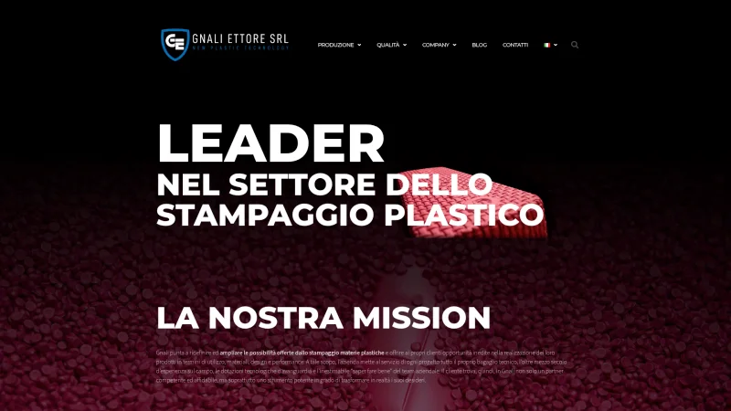 GNALI ETTORE DI GNALI AMELIO S.R.L. website screenshot