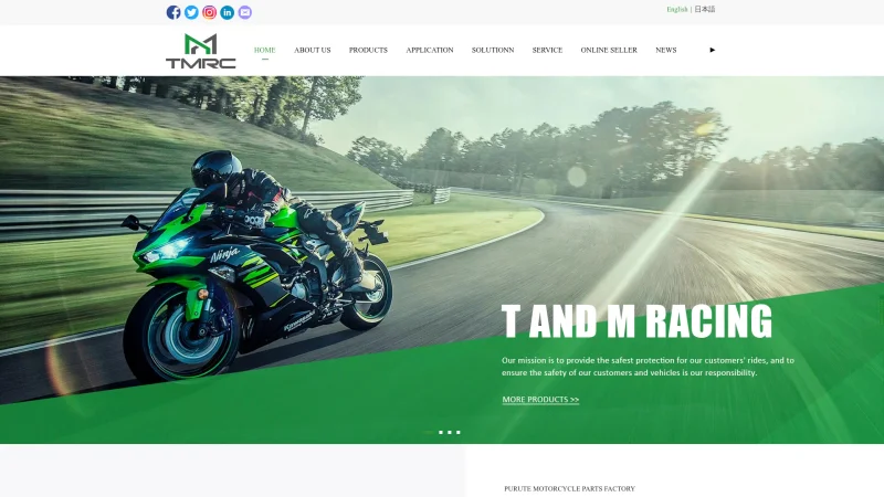 HAINING TELI HARDWARE TOOLS CO., LTD website screenshot