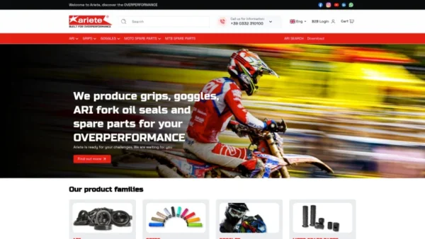ARIETE website screenshot