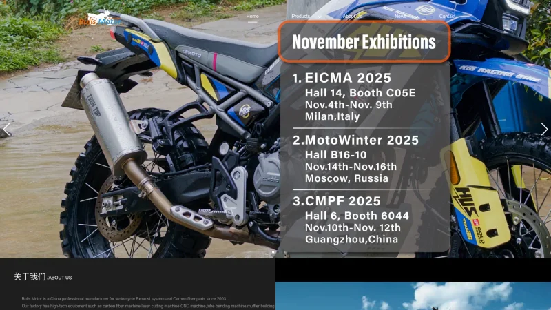 GUANGZHOU BULLS AUTO ACCESSORIES CO.LTD website screenshot