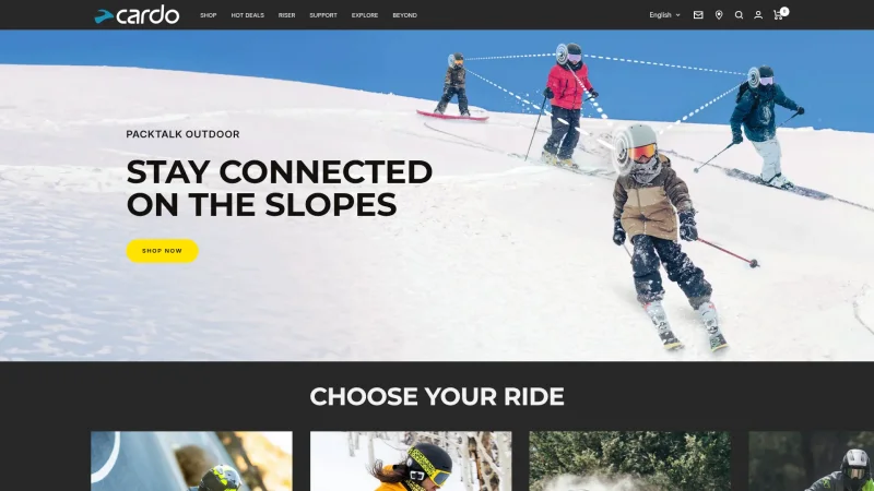 CARDO SYSTEMS website screenshot