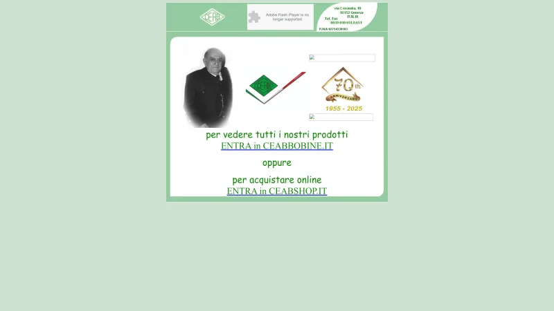 CEAB PICCONE SRL website screenshot