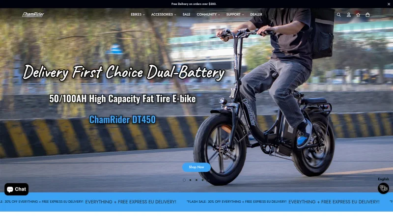 DONGGUAN CHAMRIDER TECHNOLOGY CO., LTD. website screenshot