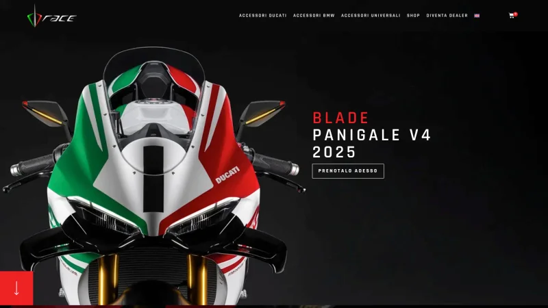 DB-RACE website screenshot
