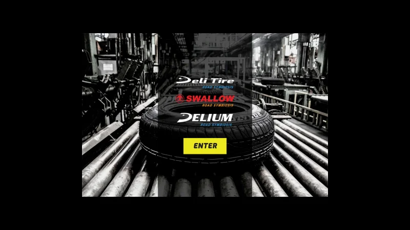 DELIUM – DELI TIRE website screenshot