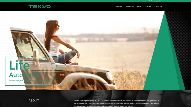 TAIWAN DIHSHIANG ENT CO., LTD. website screenshot