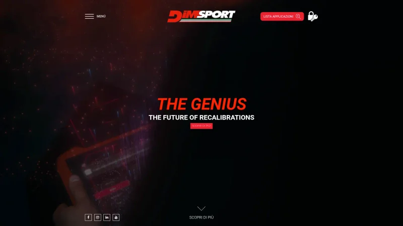 DIMSPORT SRL website screenshot