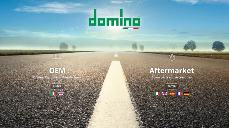 DOMINO S.R.L. website screenshot