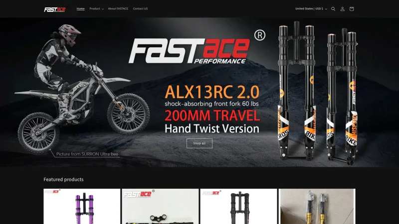 FASTACE SUSPENSION website screenshot