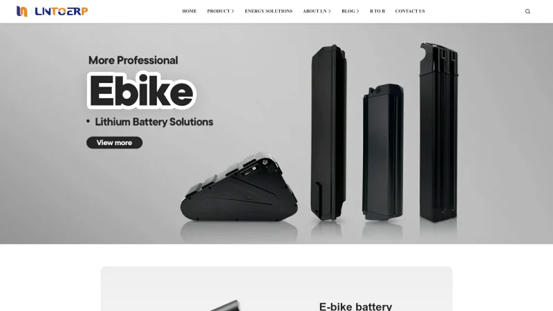 LN ENERGY TECHNOLOGY CO.,LTD website screenshot