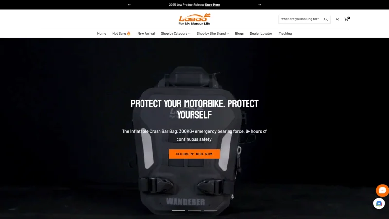 SHENZHEN LOBOO MOTOR ACCESSORIES CO., LTD website screenshot