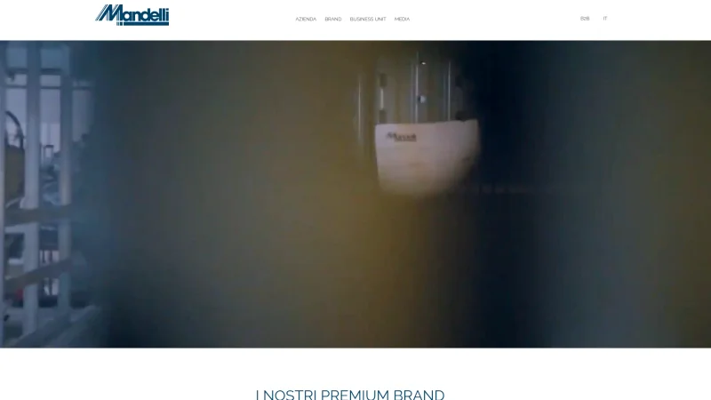 MANDELLI S.R.L. website screenshot