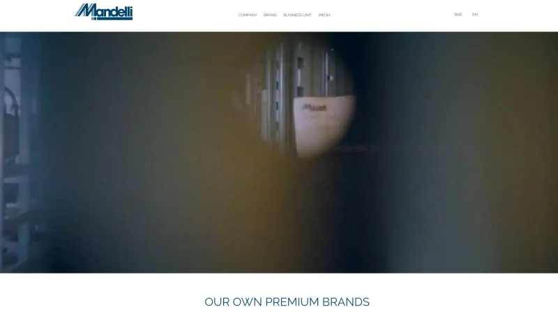 T.UR – MANDELLI S.R.L. website screenshot