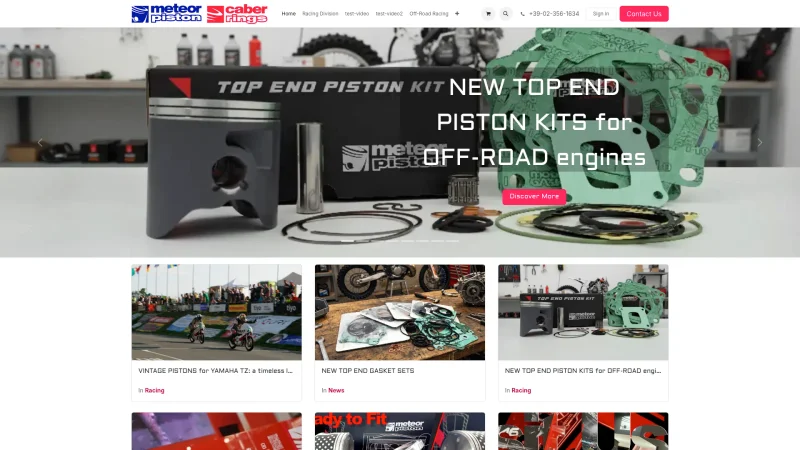 METEOR PISTON S.R.L. website screenshot