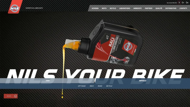 NILS S.P.A. website screenshot
