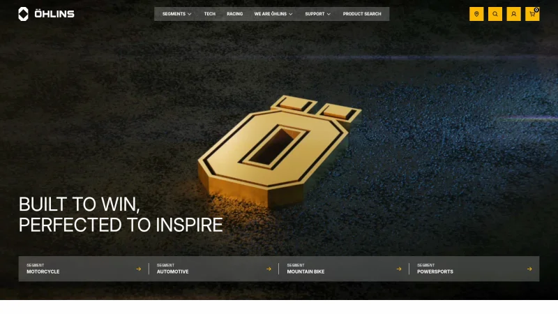 ÖHLINS GROUP AB website screenshot