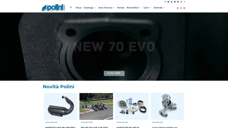 POLINI MOTORI S.P.A. website screenshot