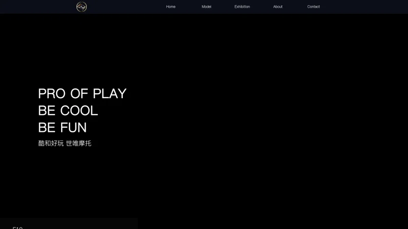 TAIZHOU HUANGYAN SHIWEI VEHICLE CO LTD website screenshot