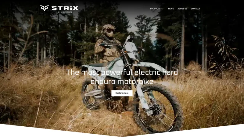 STRIX EMOTORS LTD. website screenshot