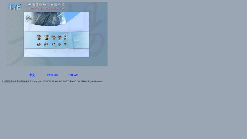 TA YOUNG ELECTRONIC.CO., LTD. website screenshot