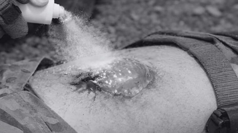 Kaist Develops Instant Hydrogel Spray To Stop Bleeding